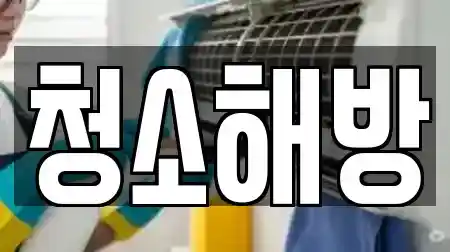 청소해방
