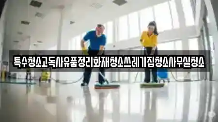특수청소고독사유품정리화재청소쓰레기집청소사무실청소